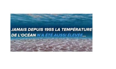 La chaleur dévaste l'océan Pacifique...